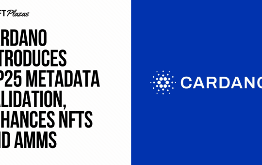 Cardano Inrtoduces CIP25 Metadata Validation, Enhances NFTs