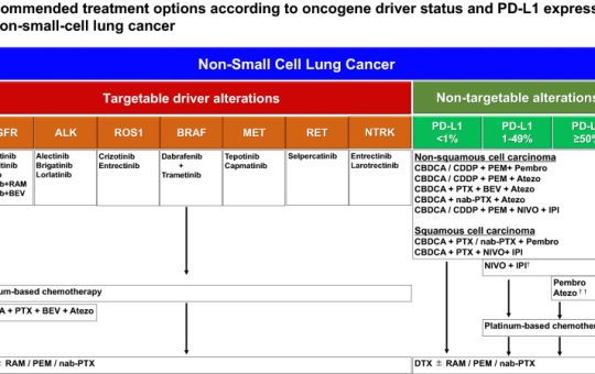 Leveraging AI for Multi-Omics Analysis and Precision Medicine in Non-Small-Cell Lung Cancer NSCLC: Opportunities and Challenges