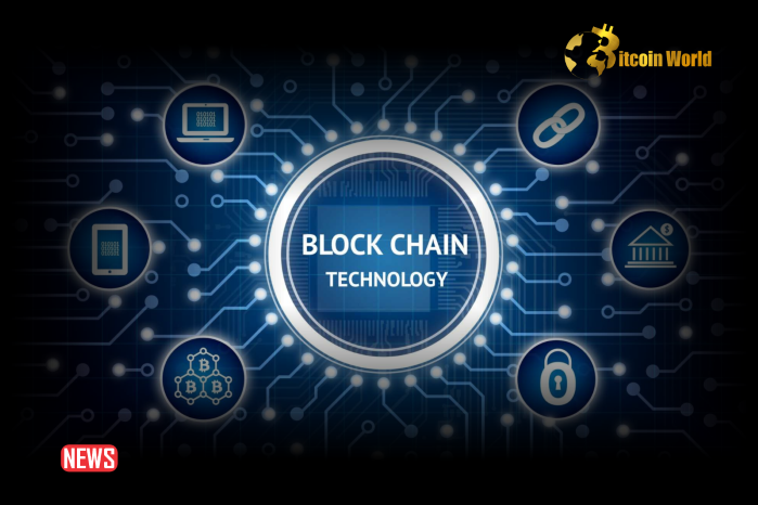 Blockchain Technology Explained: Applications Beyond Crypto