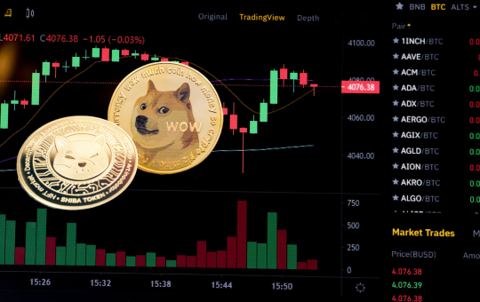 Top SHIB Trader Buys Dogecoin, RCOF, and FUD to Show It’s Possible to Grow a $1M Portfolio in 4 Months