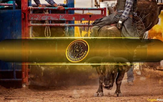 Bitcoin Likely to Enter New Bull Market If This Happens: CryptoQuant