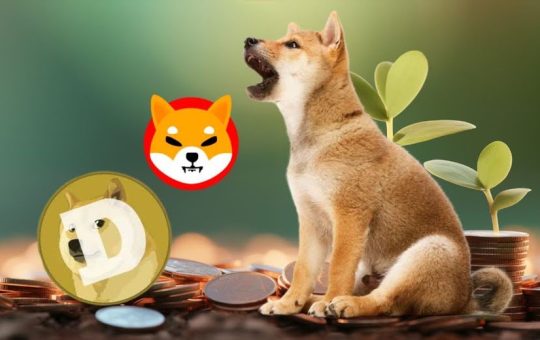 Dogecoin and Shiba Inu Investors Shift Focus to XYZVerse (XYZ) for Its 100x Growth Potential