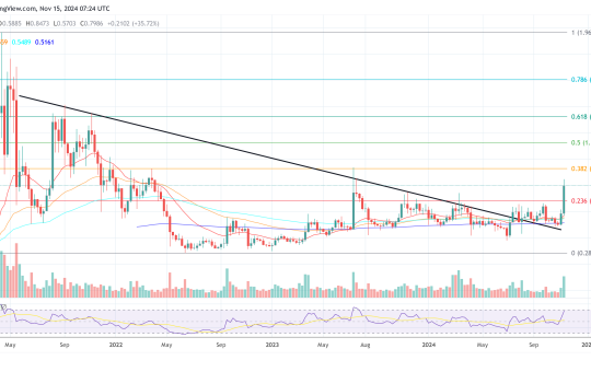 XRP price