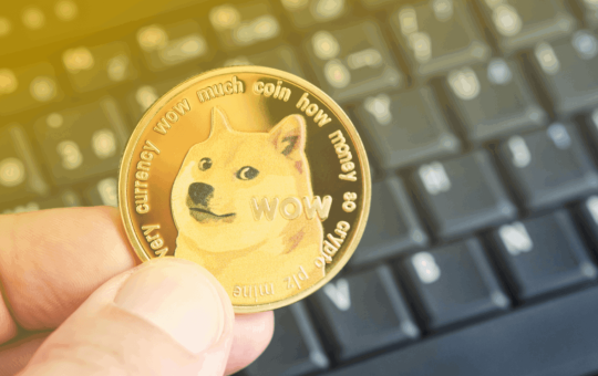 Dogecoin price