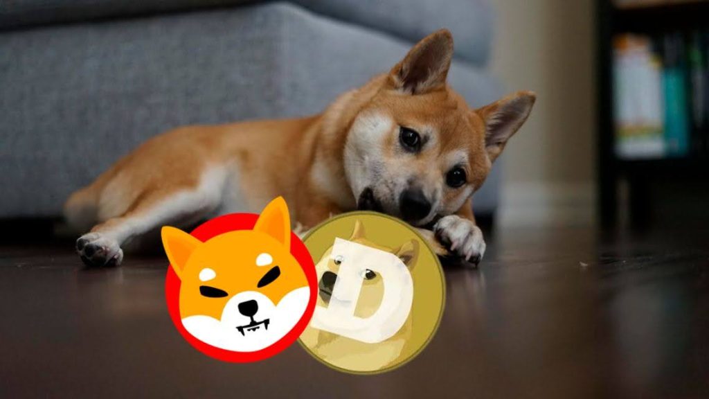 Not Just a Meme—XYZ Coin Could Set the Standard Beyond Shiba and Dogecoin!