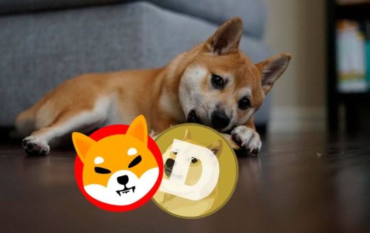 Not Just a Meme—XYZ Coin Could Set the Standard Beyond Shiba and Dogecoin!