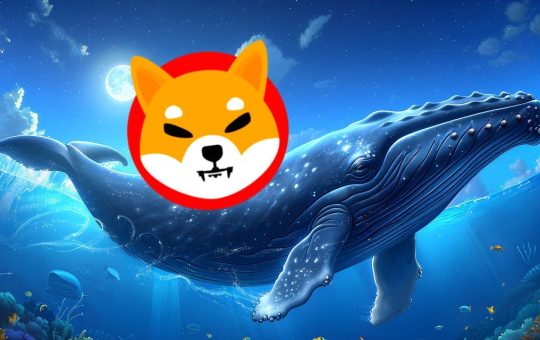 Shiba Inu Whale Who Made $20M on SHIB’s Binance Listing Now Accumulates XYZVerse (XYZ) – What’s the Strategy?