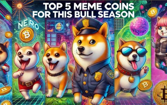 Top 5 Memes to Buy Now Before the Bull Run Explodes 2024