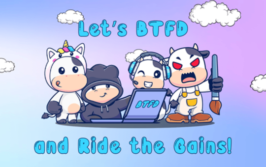 BTFD Presale Surges with $2.8M Raised as Shiba Inu Eyes Rally and Shiba BoneSwap Drives DeFi – Best Meme Coins to Join in December 2024!