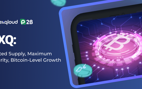 NXQ: Limited Supply, Maximum Security, Bitcoin-Level Growth