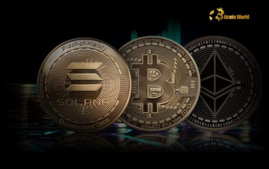 BTC, ETH, and SOL to See Further Gains, Predicts Placeholder’s Chris Burniske