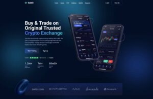 Gulbit Crypto Exchange Announced Record Trading Volumes for the XRP/USDT Pair Amid Capital Inflows