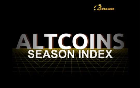 Altcoin Season: Unlocking Massive Potential in the Crypto Market