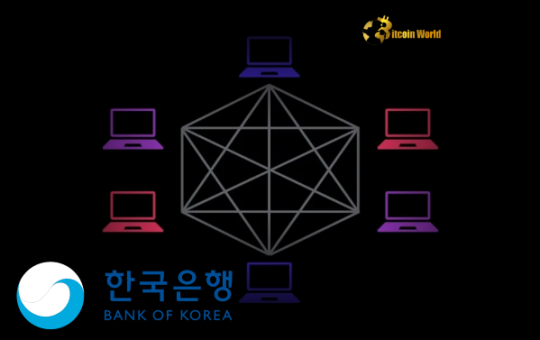 Bank of Korea Reveals Ambitious Public Blockchain Plan
