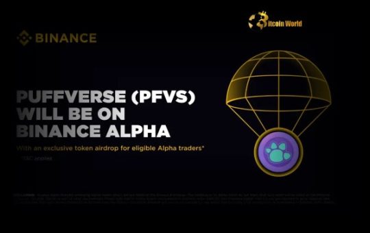Binance Alpha Spotlights Puffverse Token (PFVS) Explore Early Stage Crypto Gems