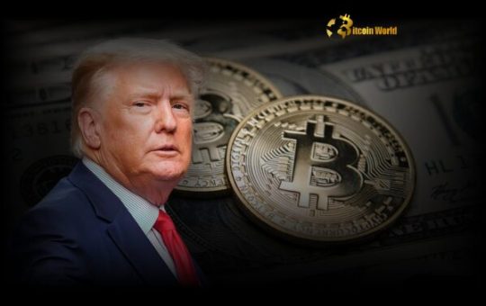 Bitcoin: Historic Shift? Donald Trump Backs Bitcoin Act, US 1M BTC Bill Advances