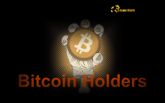 Bitcoin Holders Unleash Strategic Buying During Market Dip