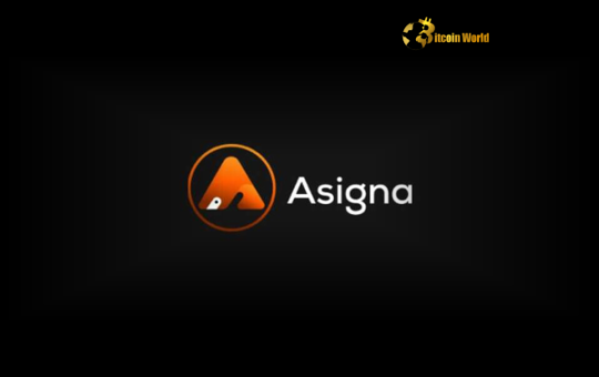 Bitcoin Multisig Pioneer Asigna Secures Crucial $3M Crypto Funding