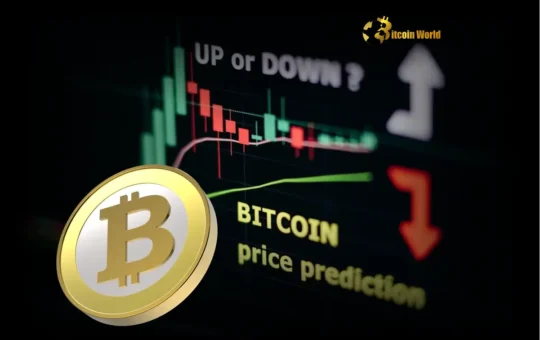 Bitcoin Price Prediction: Unveiling Astonishing Post-Halving Potential