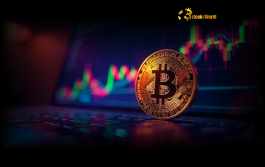 Bitcoin Price: Unstoppable Rise? Institutional Adoption Fuels BTC Above $95K