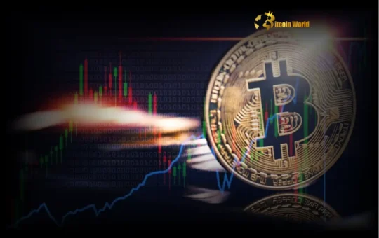 Bitcoin Price: Unveiling the Crucial Opportunity in the Crypto Market