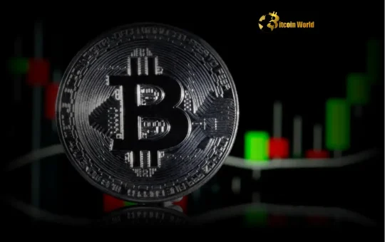 Bitcoin Price: Warning Signs Emerge for Potential Correction