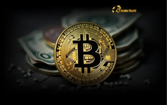 Bitcoin Price: Why Institutional Adoption Could Trigger an Explosive Rally