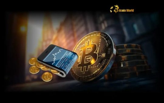 Bitcoin Rally Surges 47%, Yet Long-Term Holders Show Unwavering Conviction