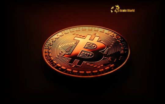 Bitcoin Warning Signals Point to Potential Price Correction After 7-Week Rally