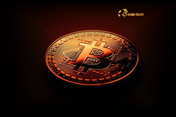Bitcoin Warning Signals Point to Potential Price Correction After 7-Week Rally