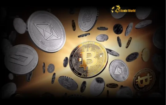 Bitcoin’s Unshaken Rise: QCP Capital Highlights Store of Value Momentum Amid Macro Shifts