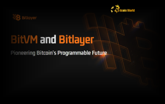 Bitlayer Accelerates BitVM Adoption Through Powerful Mining Pool Partnerships