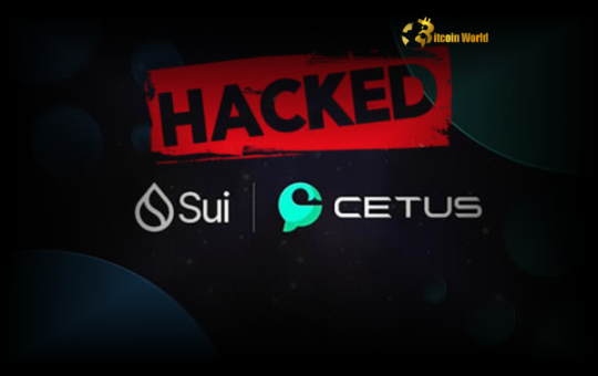 Cetus Exploit Shocking $220M Loss & Urgent Recovery Plan on Sui