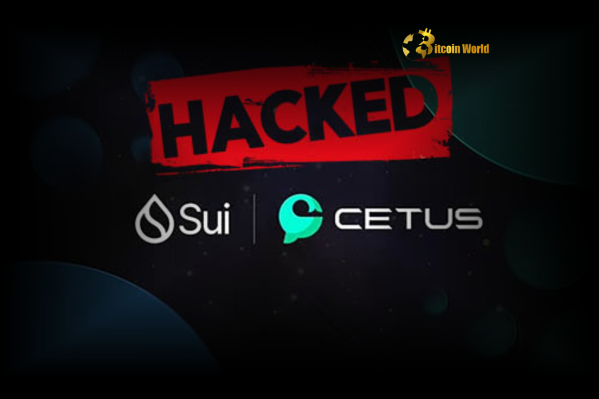 Cetus Exploit Shocking $220M Loss & Urgent Recovery Plan on Sui