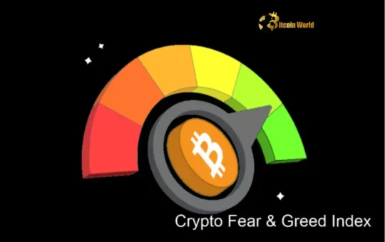 Crypto Fear & Greed Index: Greed Holds Firm at 74, What it Means for the Market