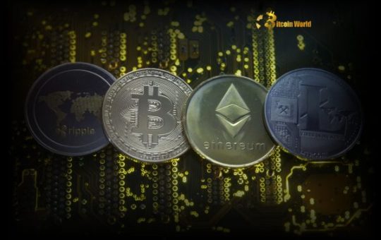 Crypto Market Cycle: Unlocking the Institutional Drive for the Next Mania