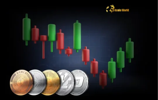 Crypto Market Trends: Explosive Growth and Key Developments You Need to Know
