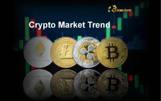 Crypto Market Trends: Unveiling the Next Big Opportunity in Cryptocurrency Investing