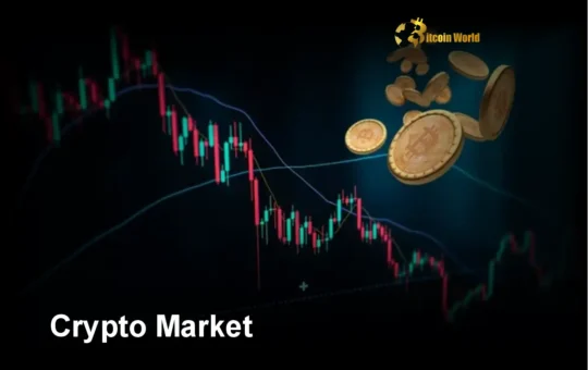 Crypto Market: Unveiling the Explosive Potential of the Next Bull Run