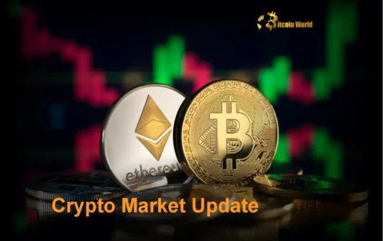 Crypto Market Update: Amazing Altcoin Growth While Bitcoin Holds Strong