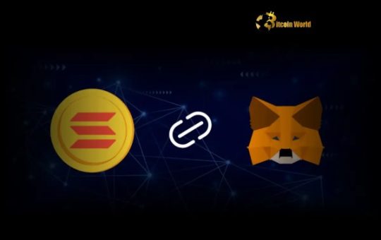 Exciting MetaMask Solana Integration: Access Solana Seamlessly with Your Web3 Wallet