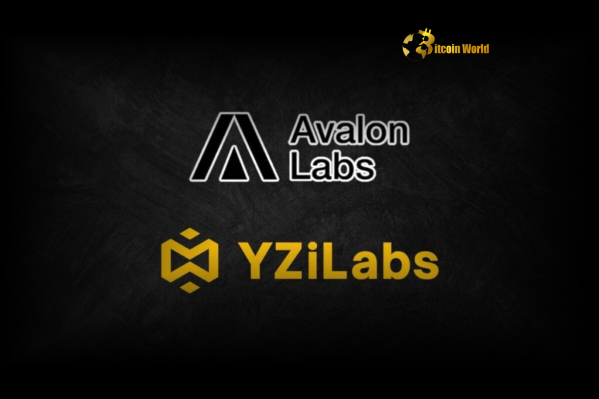 Exciting YZi Labs Investment Fuels Avalon Labs' Bitcoin DeFi Expansion