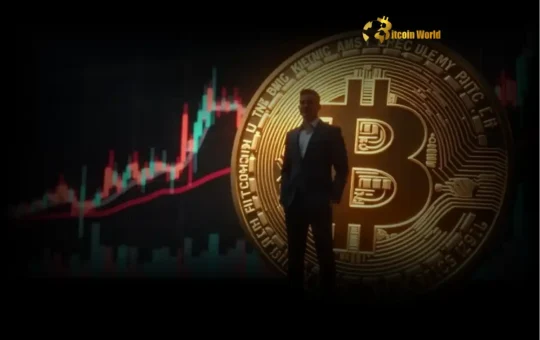 Institutional Crypto Adoption: Astonishing Growth Reshapes Bitcoin Market
