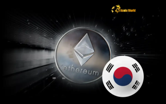 Korean Crypto Community Unlocking the Top Keywords Driving Interest