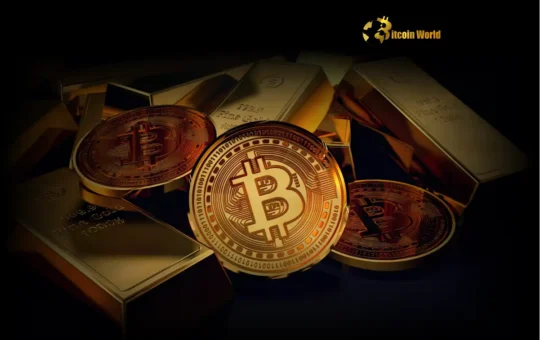 Korean Crypto Investors Survey: Unexpected Neutrality on Trump Dinner Impact