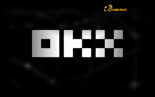 OKX Dominates Crypto Exchange Inflows A Powerful Sign of Confidence