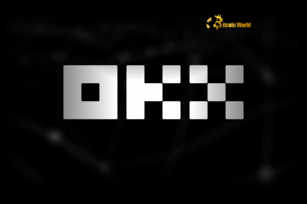 OKX Dominates Crypto Exchange Inflows A Powerful Sign of Confidence