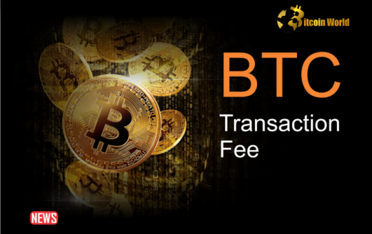 Bitcoin (BTC) Transaction Fees Suddenly Reached Incredible Heights: Here’s Why