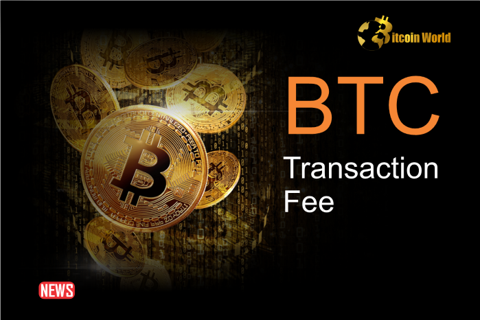 Bitcoin (BTC) Transaction Fees Suddenly Reached Incredible Heights: Here’s Why