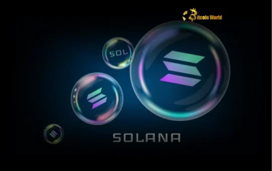 Solana Ecosystem: Explosive Growth Fueled by Blockchain Scalability